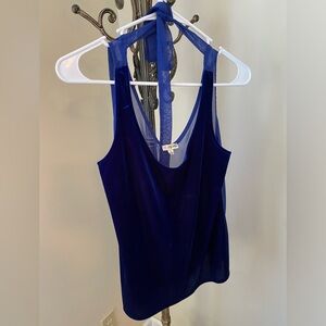 Blue velvet top
